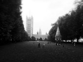 Matt W. Jennings (@mattwjennings) A view from Westminster Gardens, Westminster, London August 2012